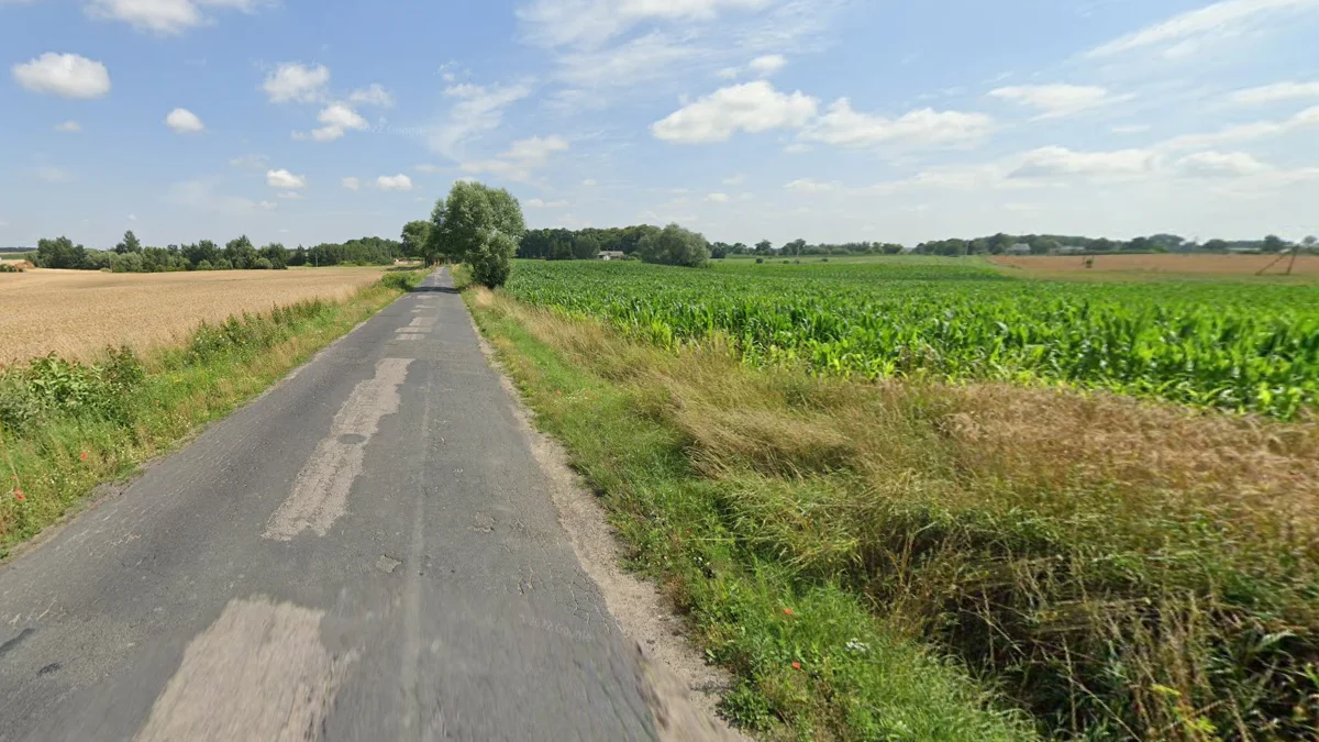 平坦綠色農業景觀