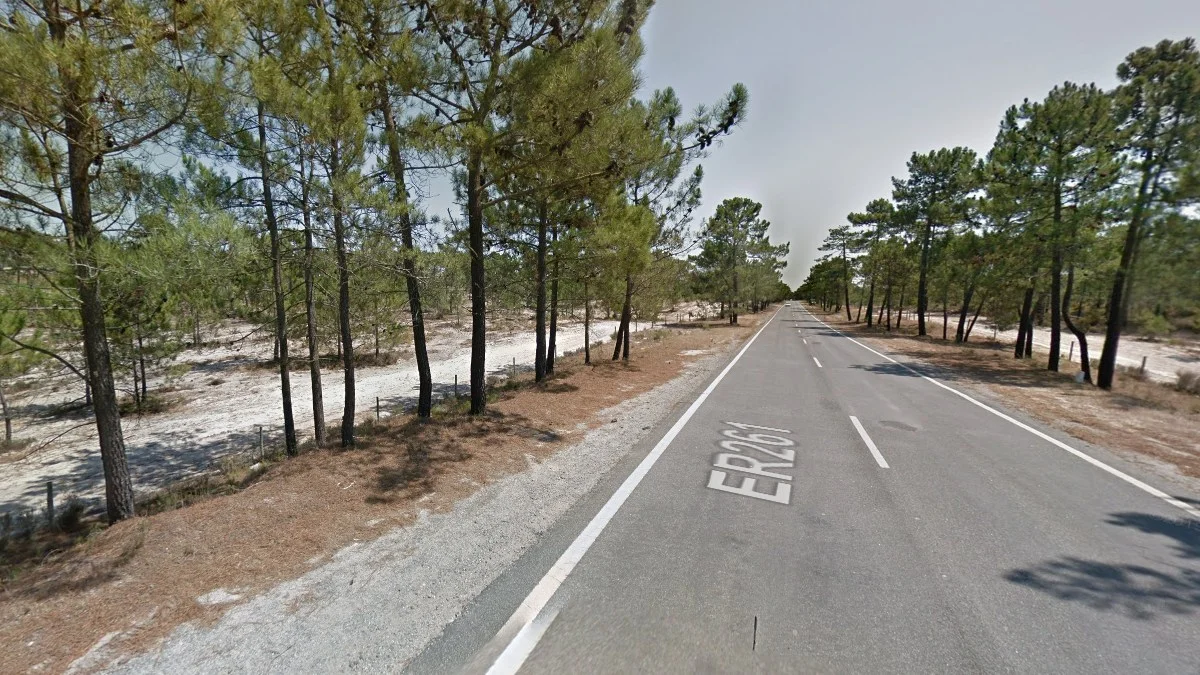 沿海沙質白土松林