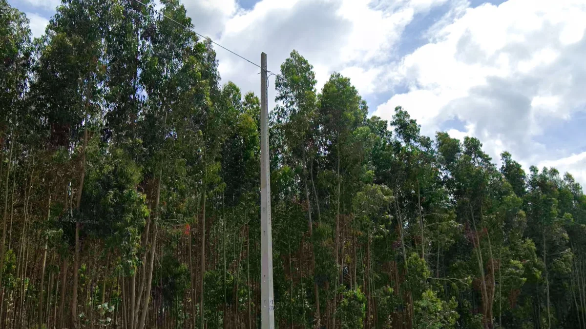 高梯級混凝土電線桿