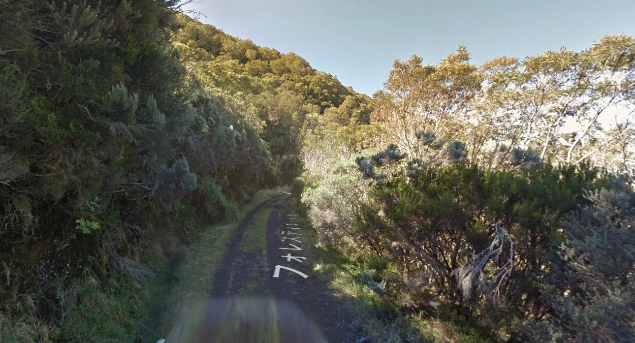 58號森林公路蜿蜒土路