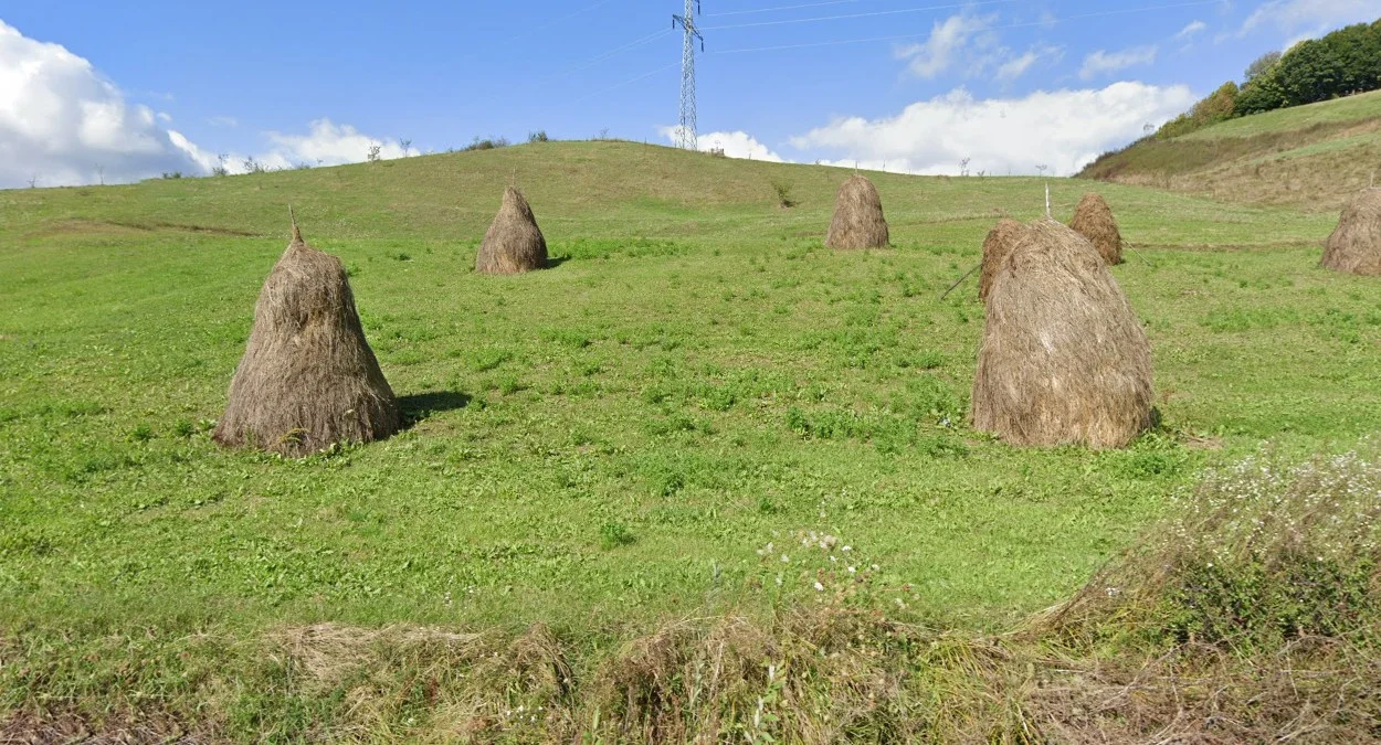 常見帶棍乾草堆