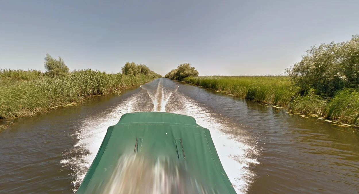 東部綠船街景車