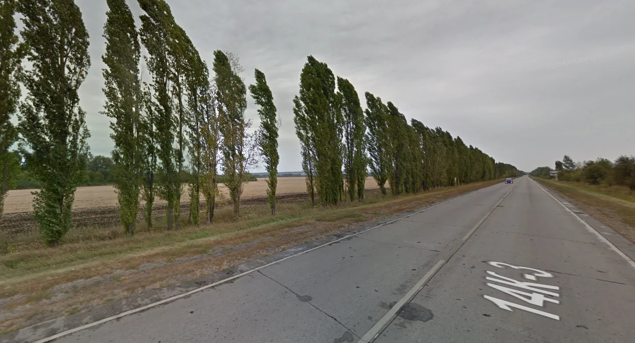 烏克蘭邊境黑楊樹