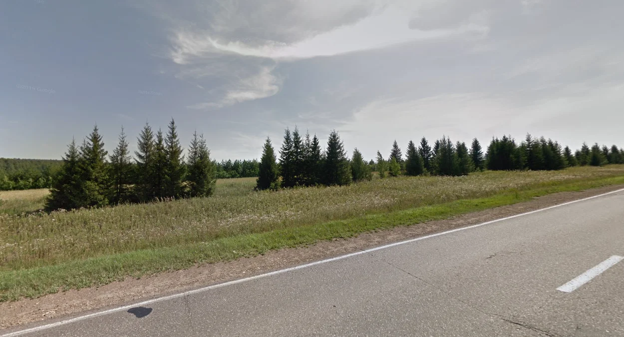 韃靼斯坦稀疏落葉松