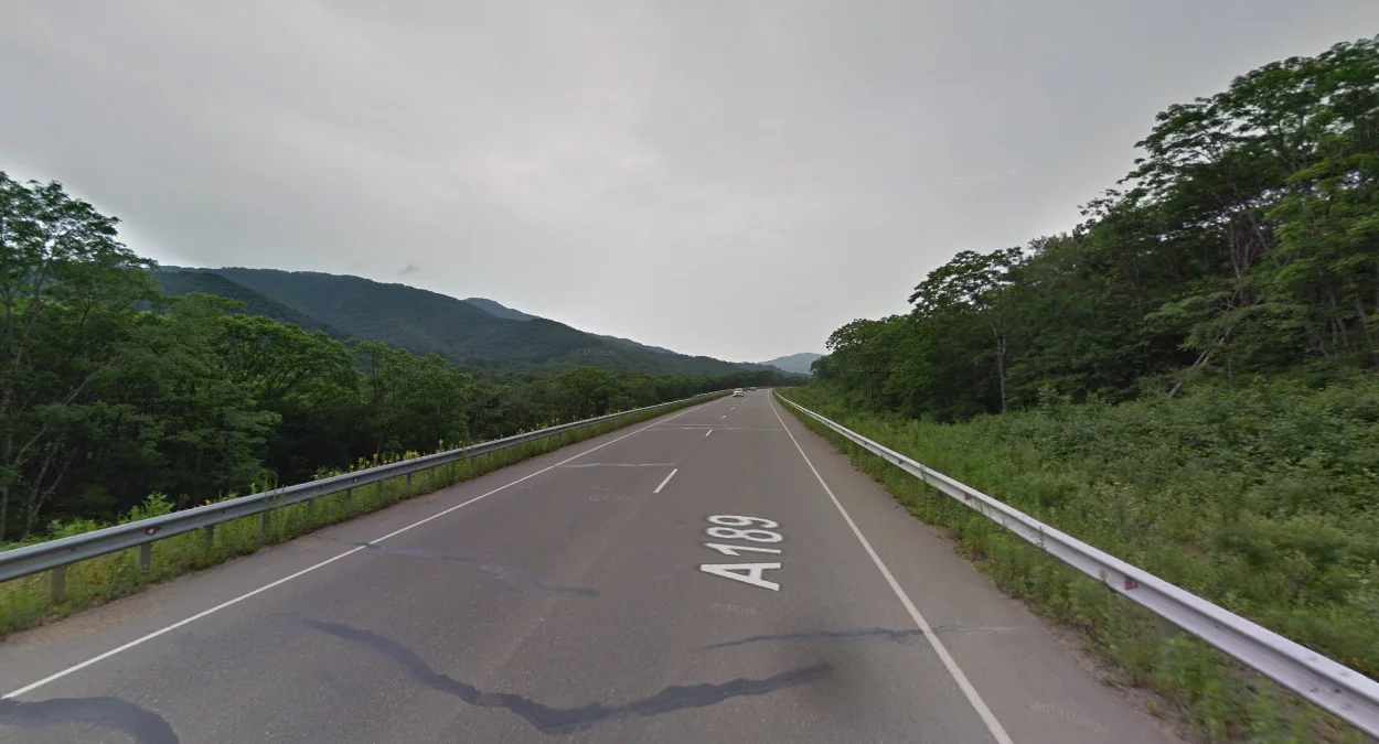 符拉迪沃斯托克丘陵森林