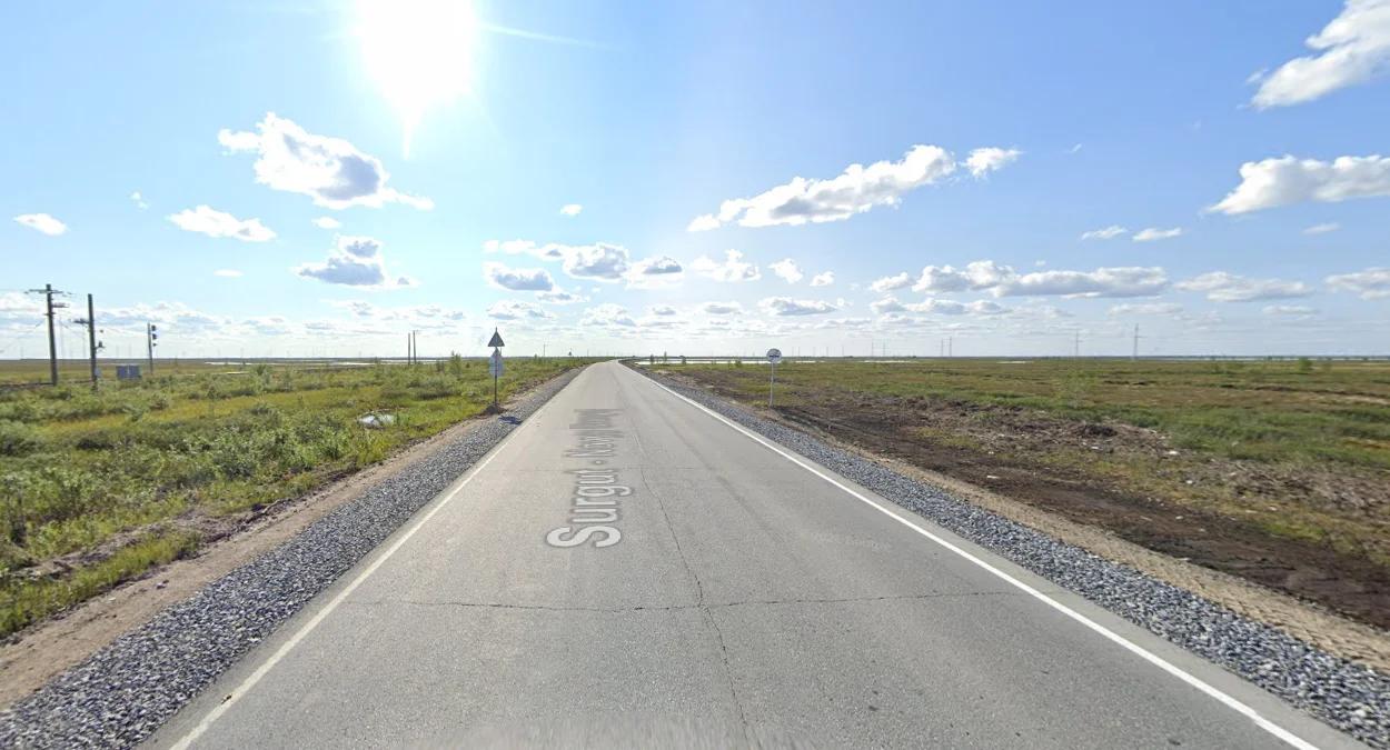 遠北平坦低植被景觀