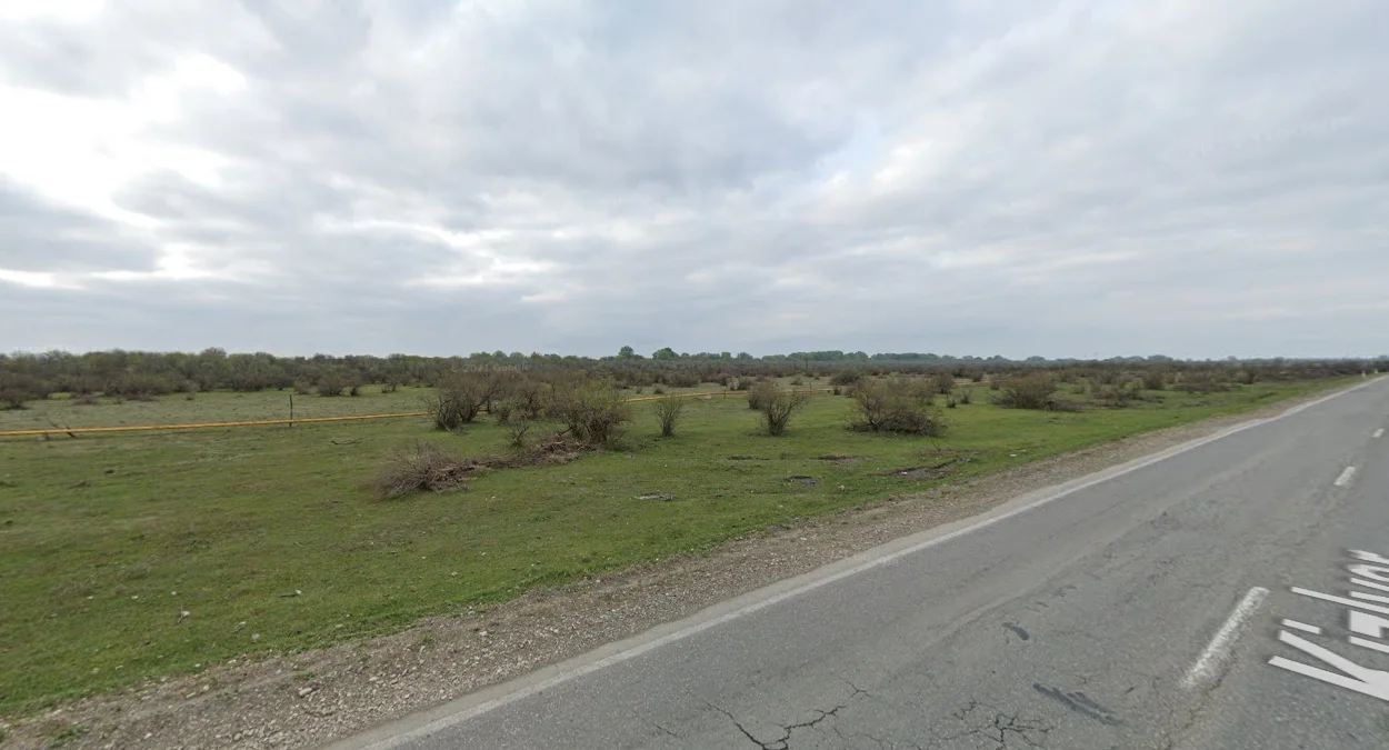 達吉斯坦草地灌木景觀