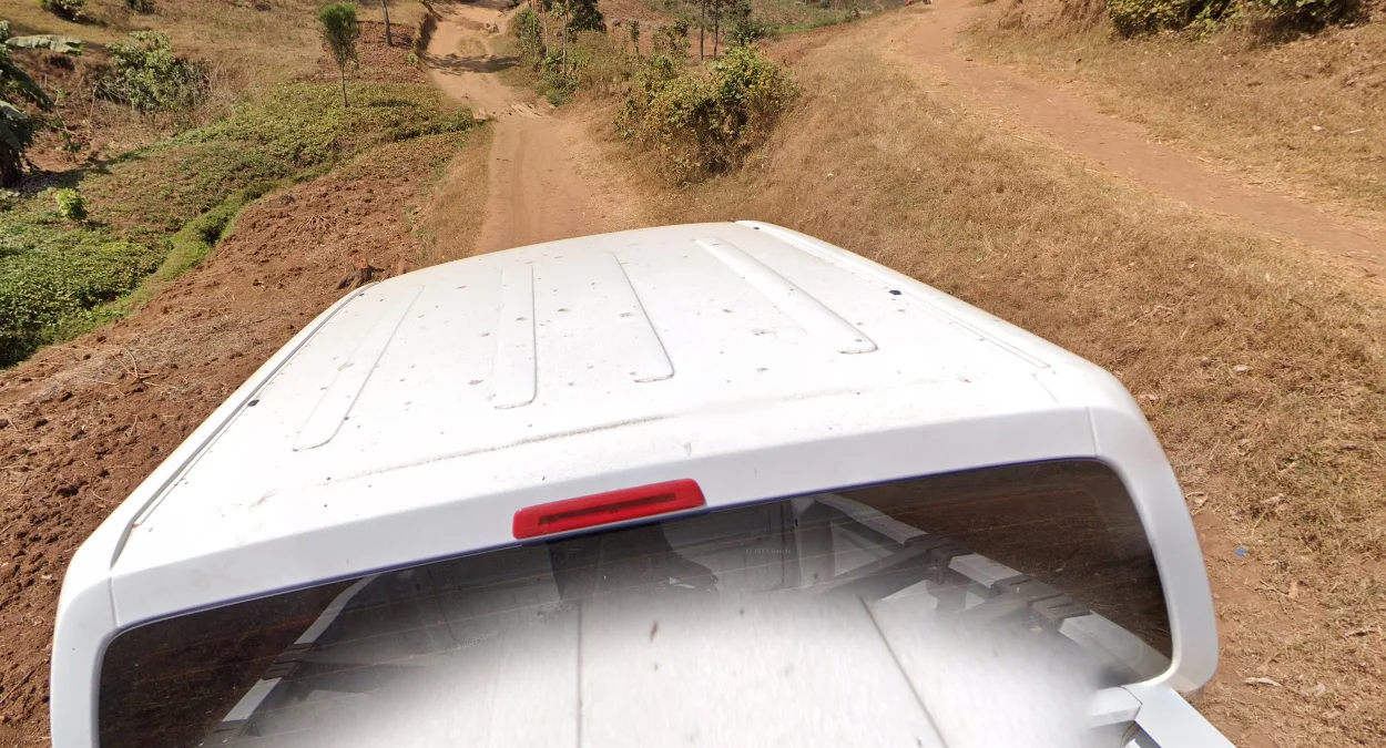 尼永圭森林國家公園景觀