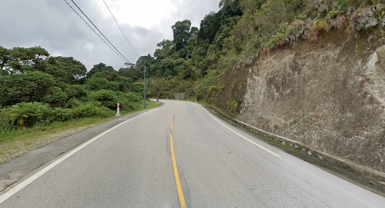 尼永圭森林國家公園道路