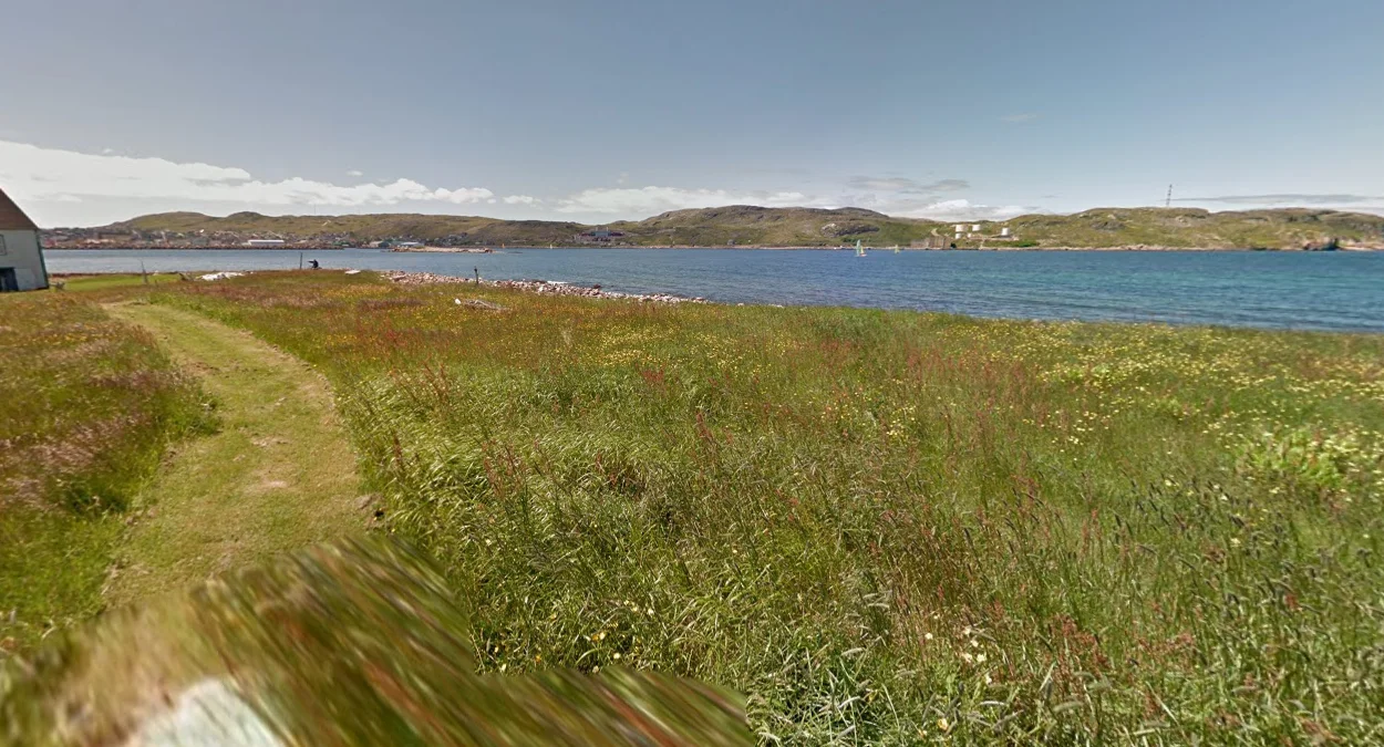 平坦或起伏的草地景觀