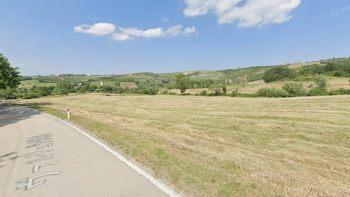 平緩的農業山丘景觀