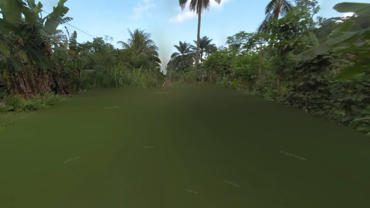 低畫質模糊街景與葡萄牙影響