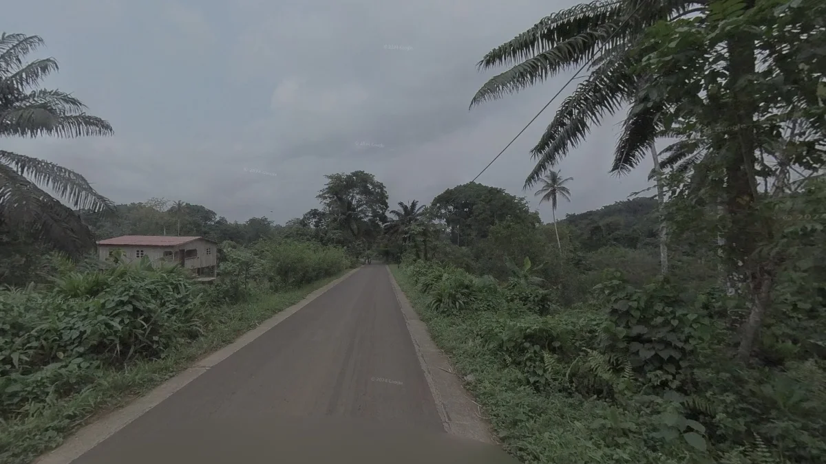 普林西比島低畫質街景