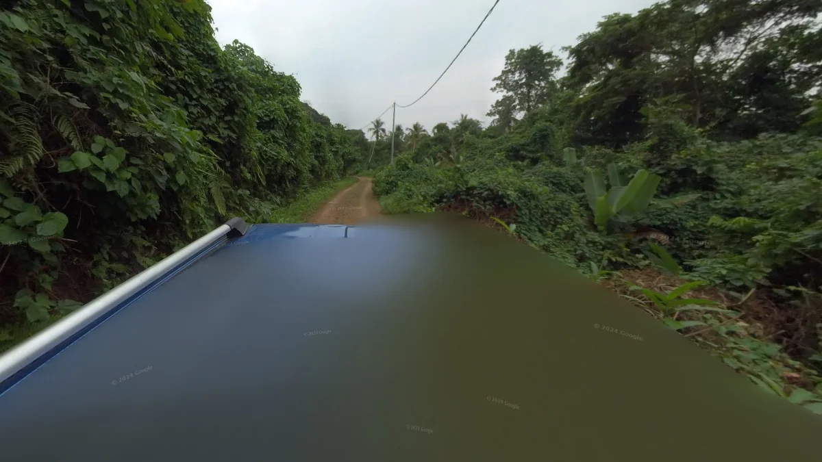 普林西比島藍頂銀架車