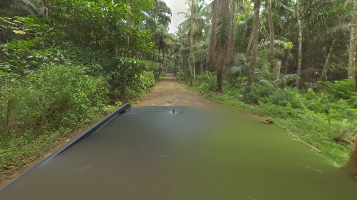 聖多美島黑頂黑架車