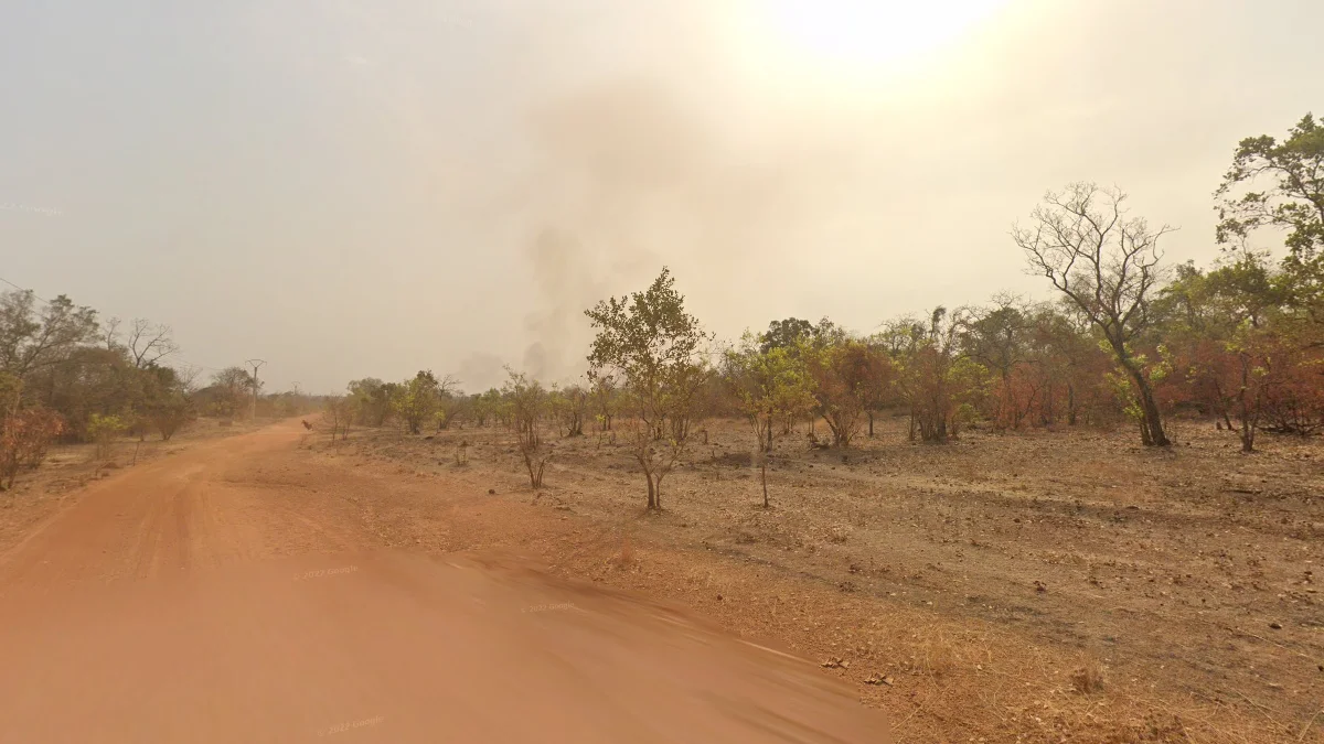 凱杜古東北模糊叢林火災