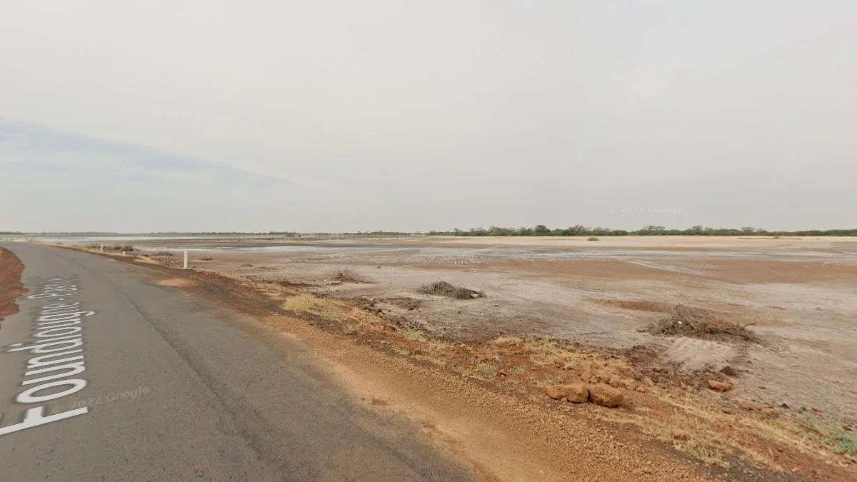 薩盧姆河三角洲沼澤景觀