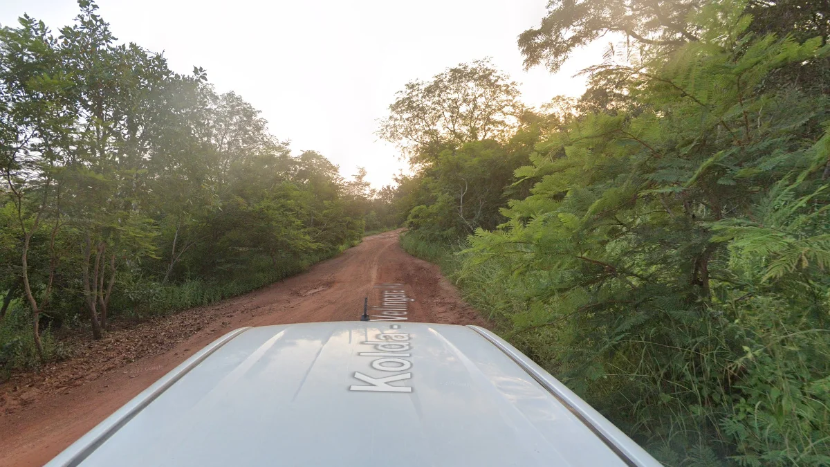 科拉-維林加拉傍晚土路