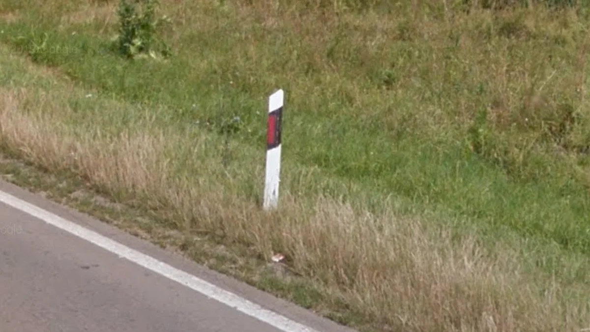 塞爾維亞綜合辨識特徵