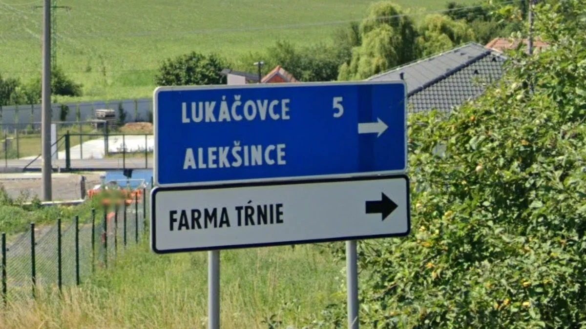 藍底小白色箭頭方向牌