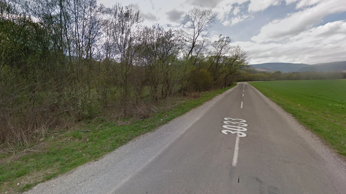 三代街景春季覆蓋