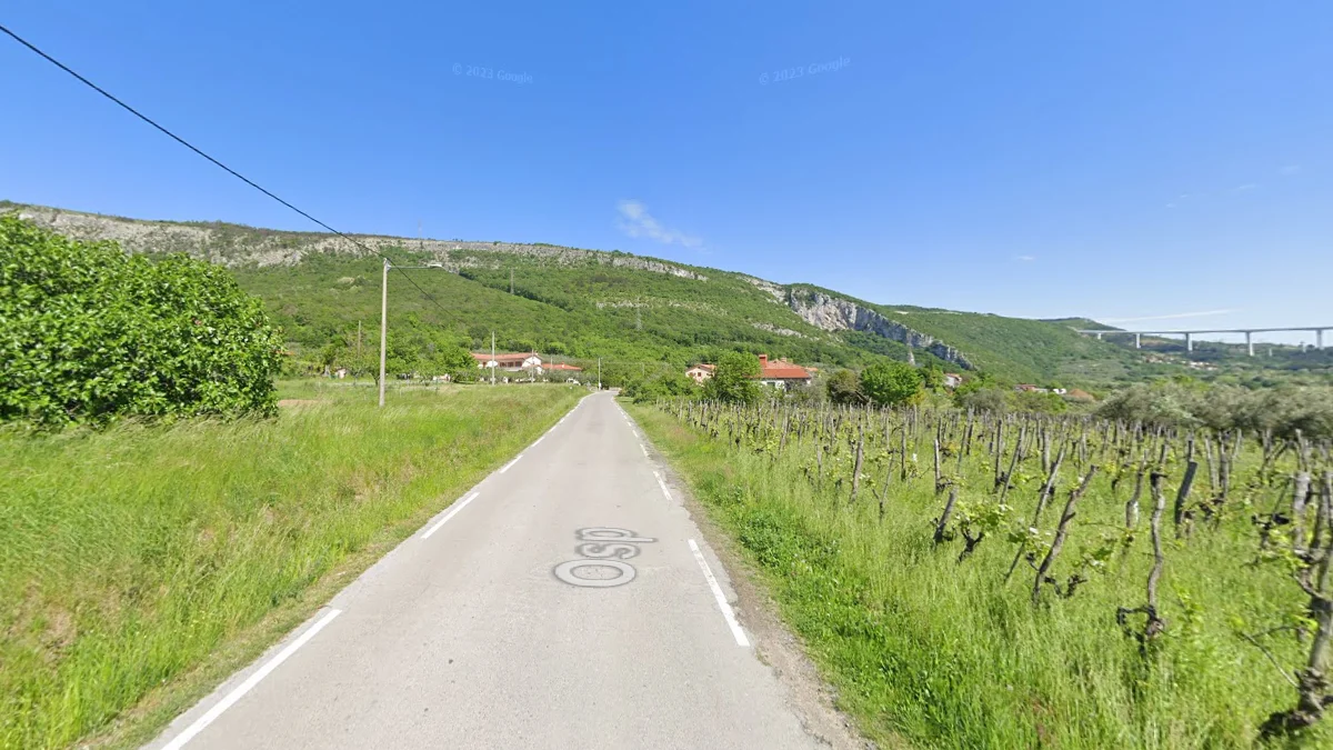 海岸白色懸崖景觀