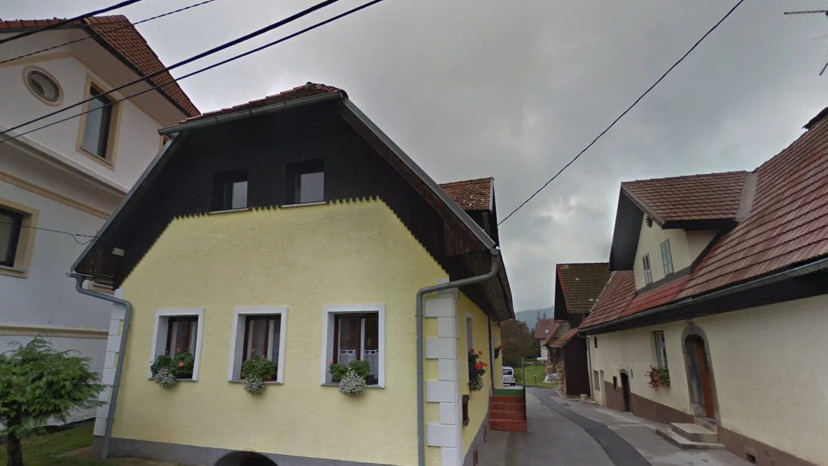 阿爾卑斯風格深色木質建築