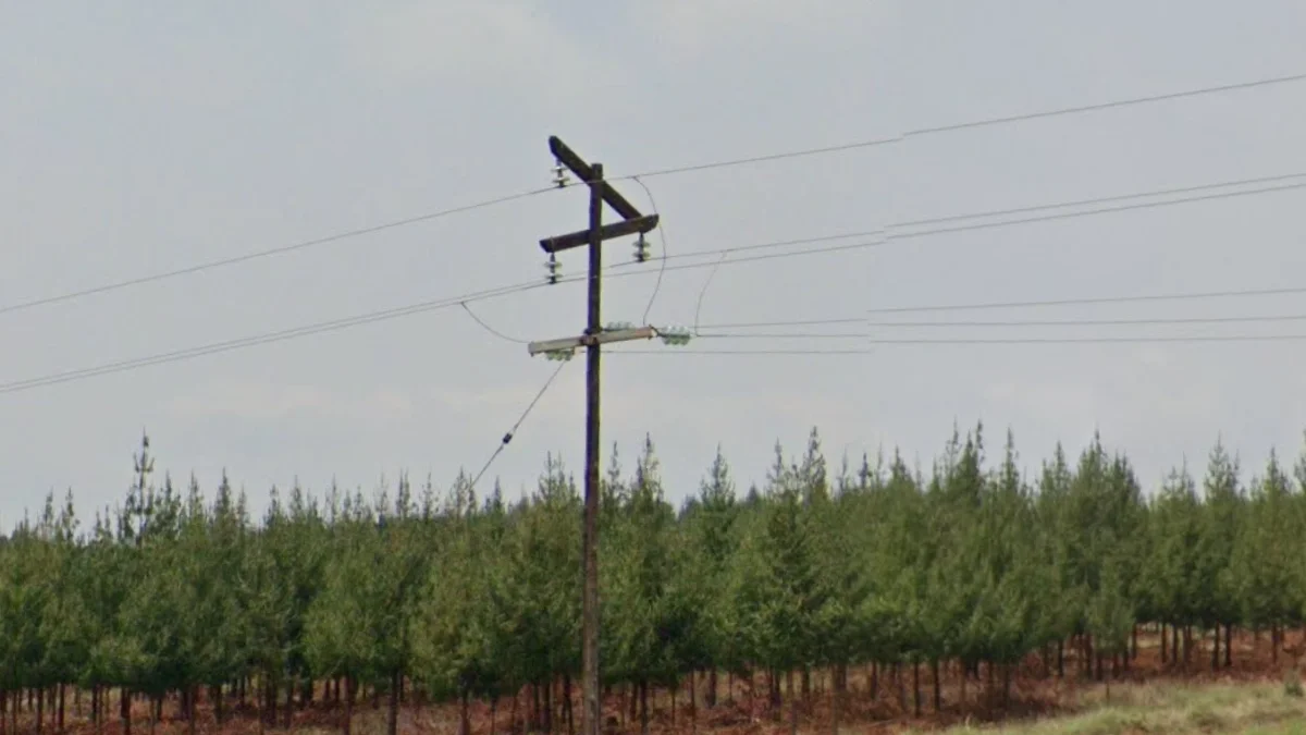 東北省份斜桿電線桿