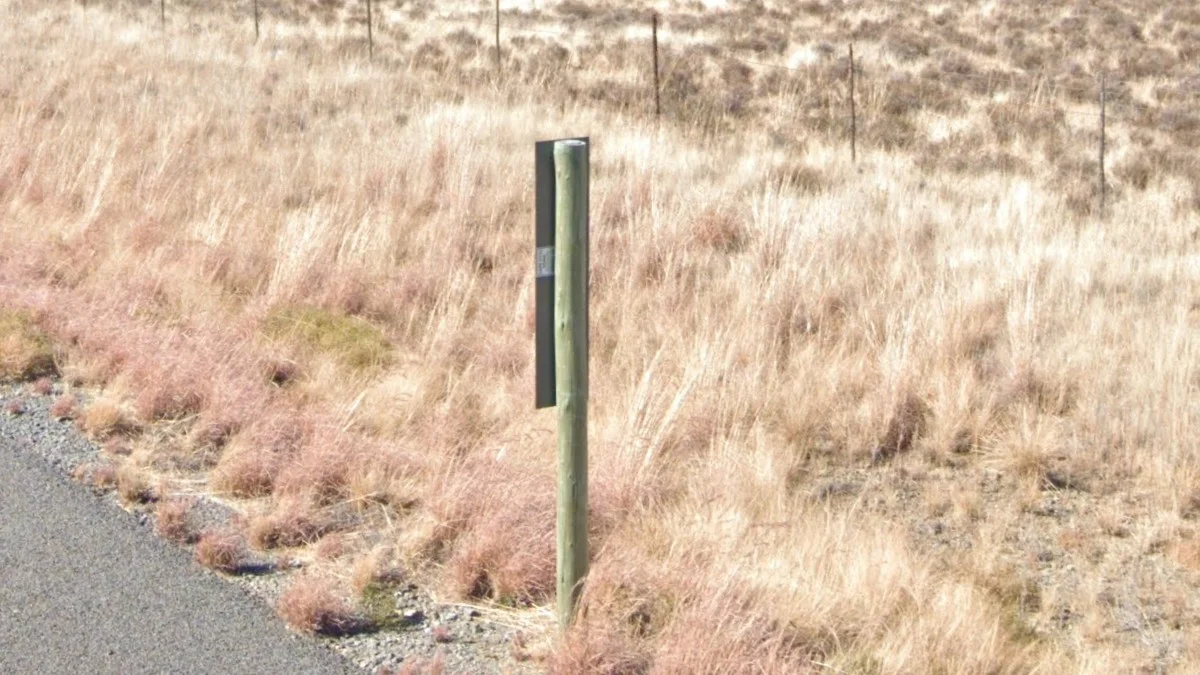 開普省V形標誌白色貼紙