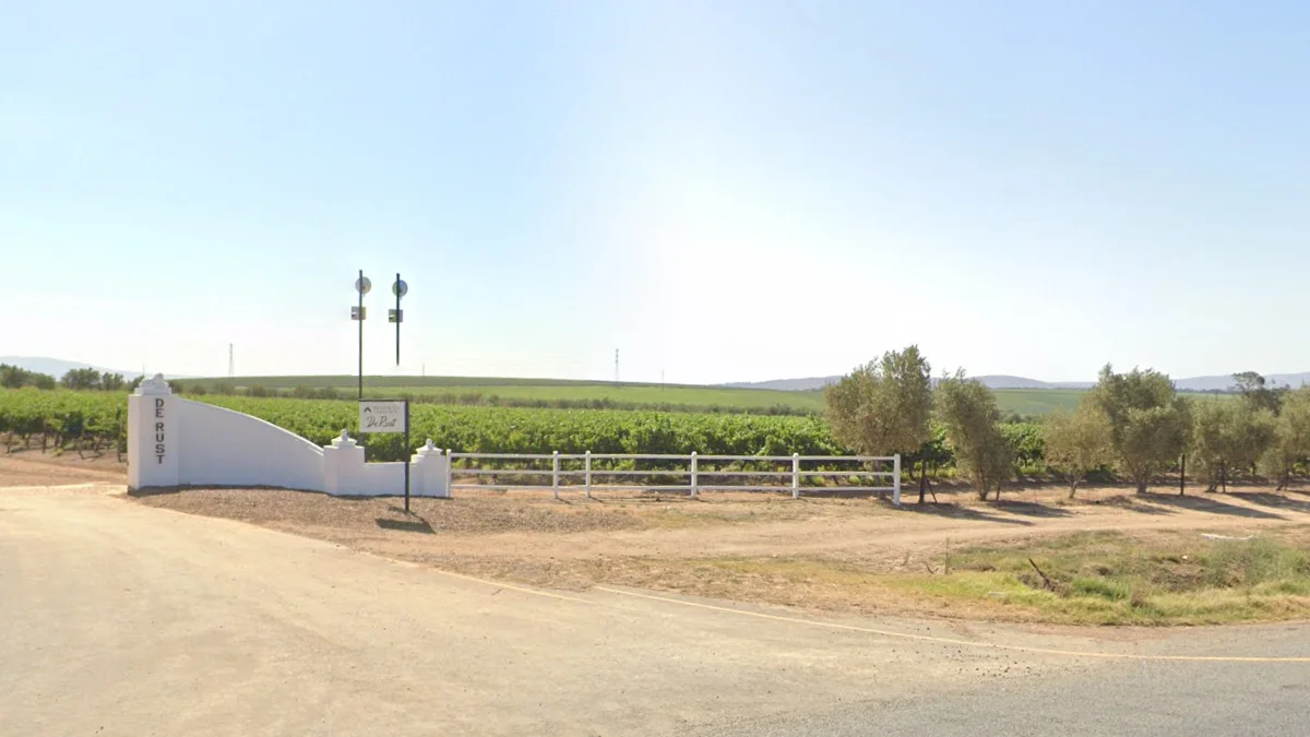 西開普省葡萄園