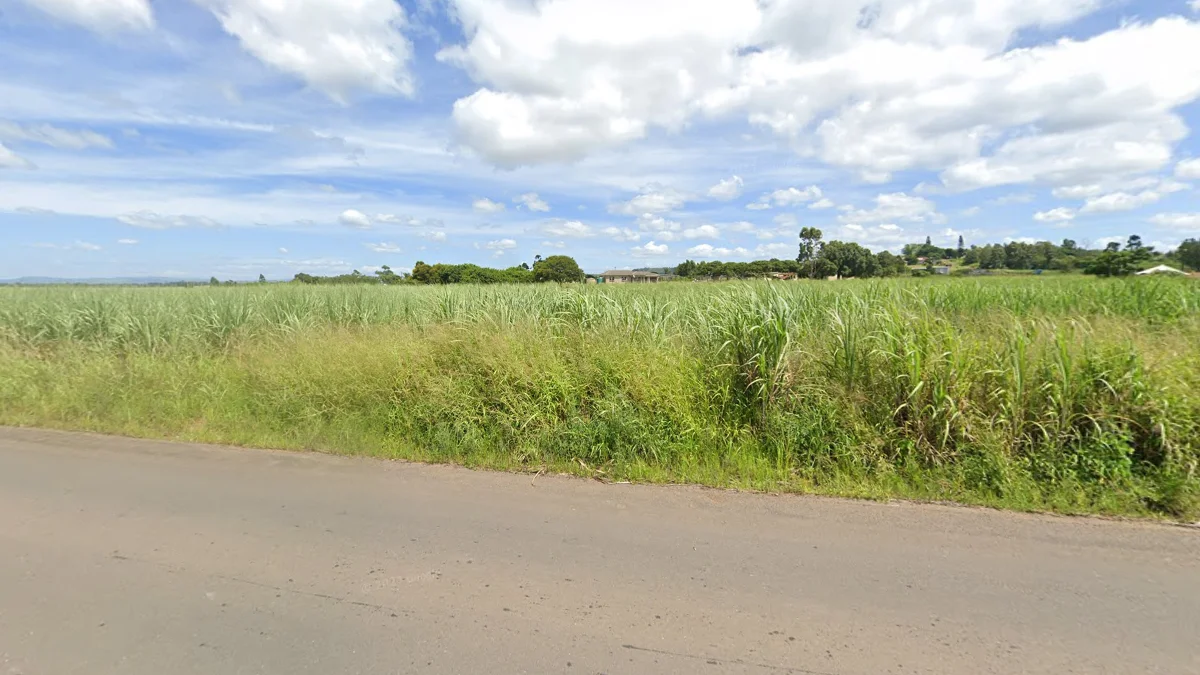 夸祖魯-納塔爾甘蔗種植園