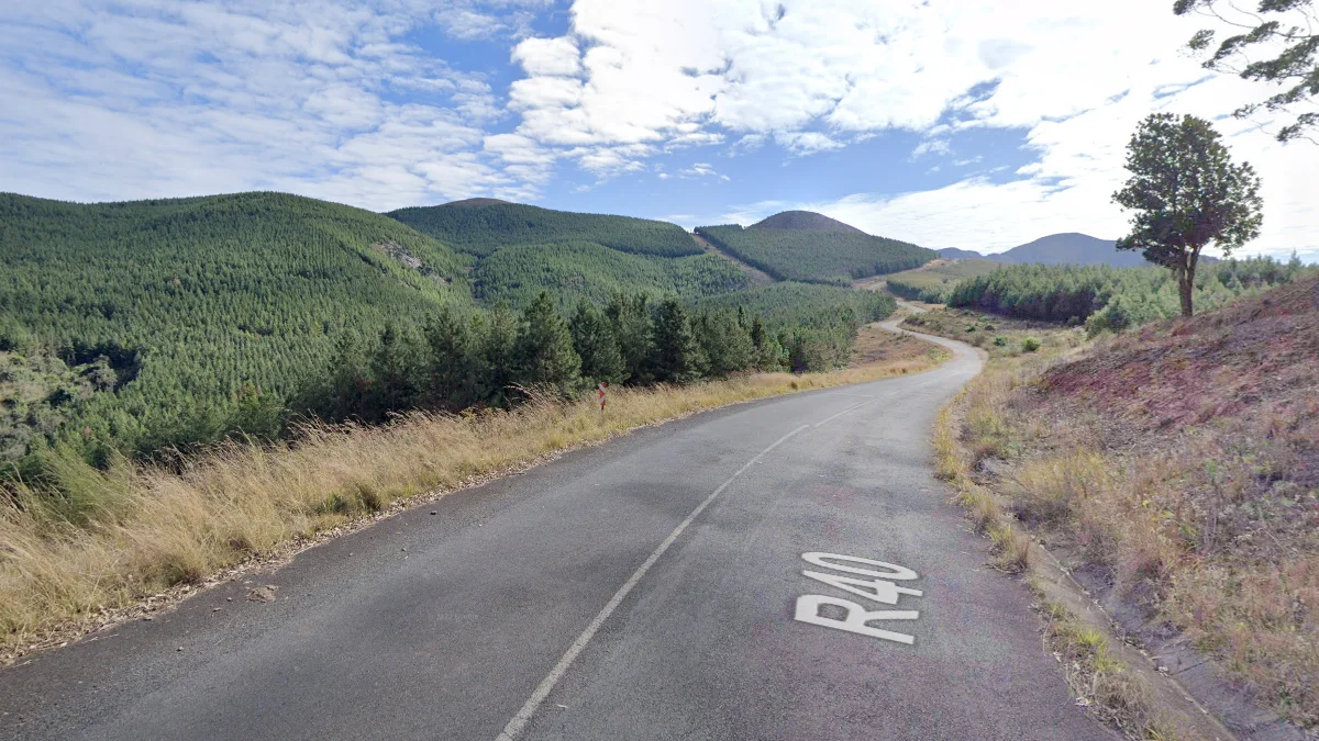 史瓦帝尼西部松樹種植園