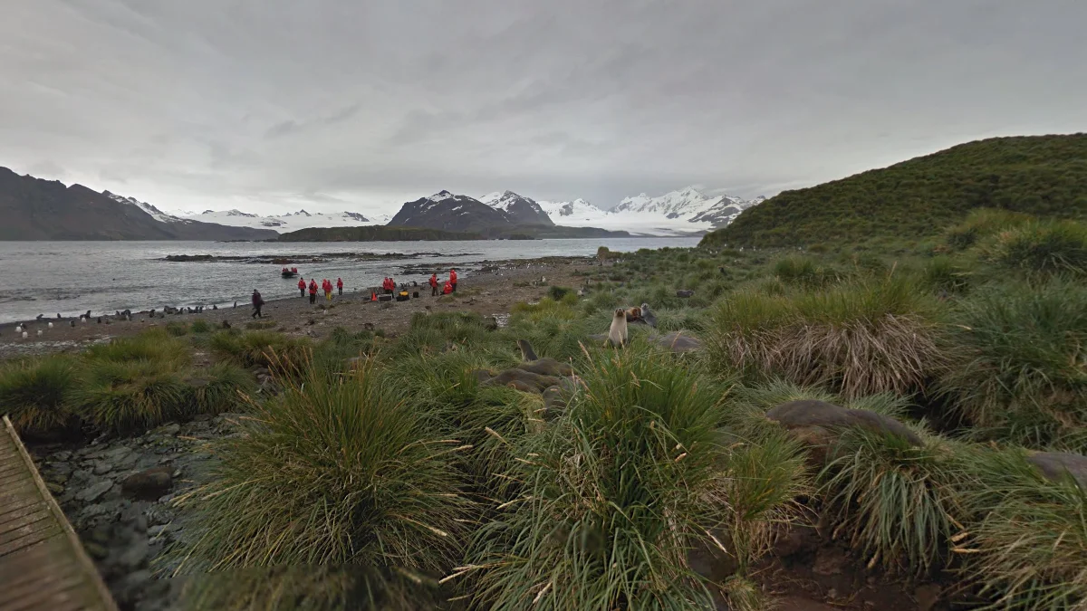 普里恩島海豹與木棧道