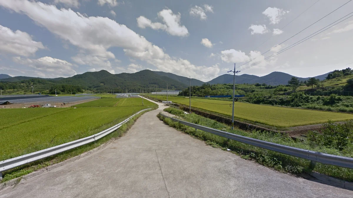 地貌以山區為主