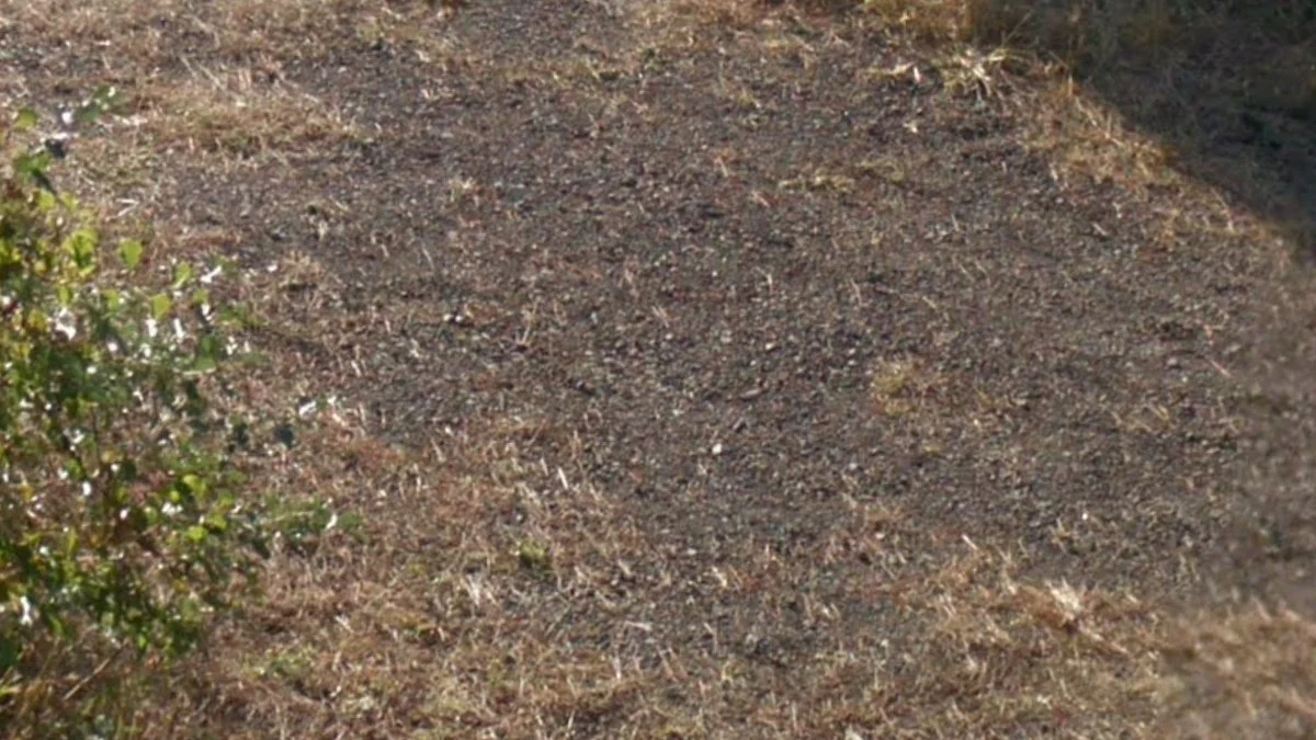 濟州島火山泥土與火山