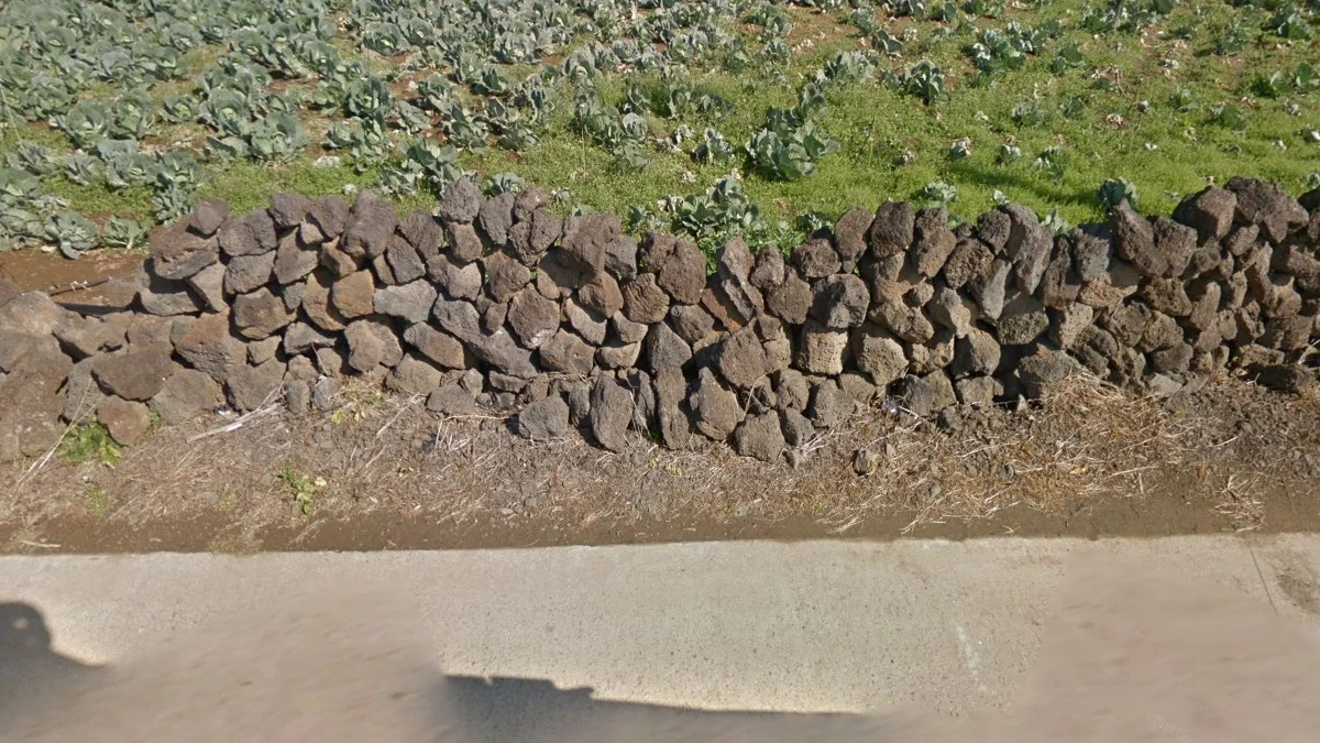 濟州島火山岩石牆