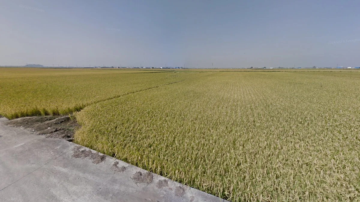 金堤周圍完全平坦地區