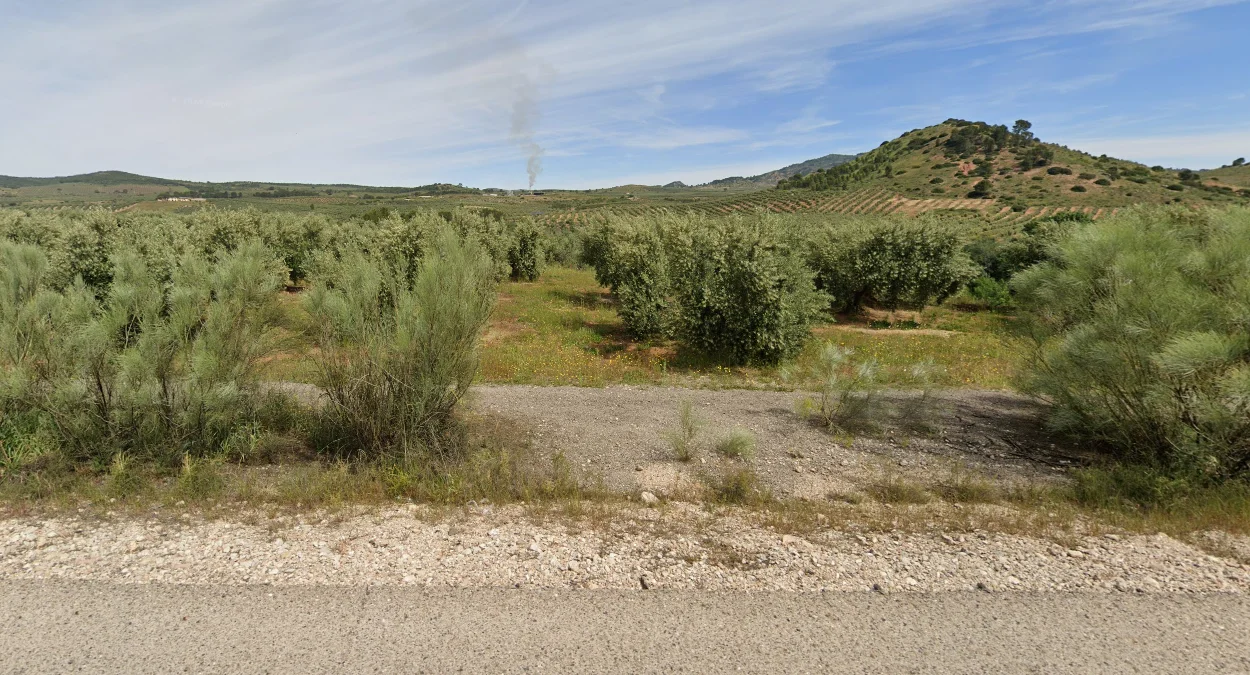 從森林到沙漠的多樣地貌