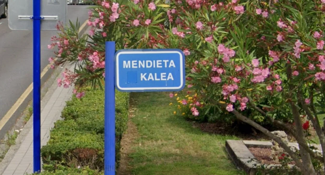 街道的巴斯克語是Kalea