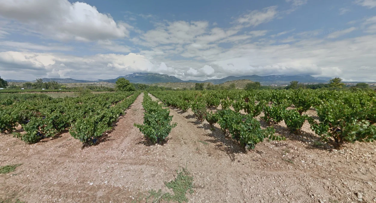 拉里奧哈的山間葡萄園