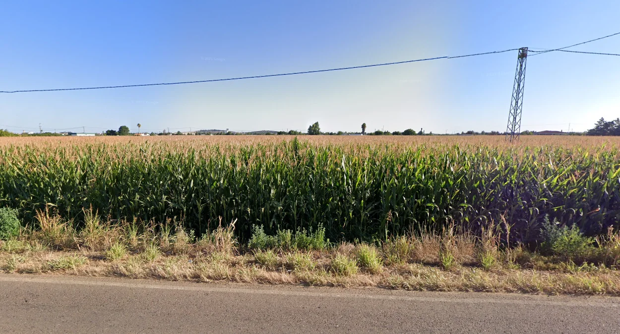 西班牙的玉米種植區