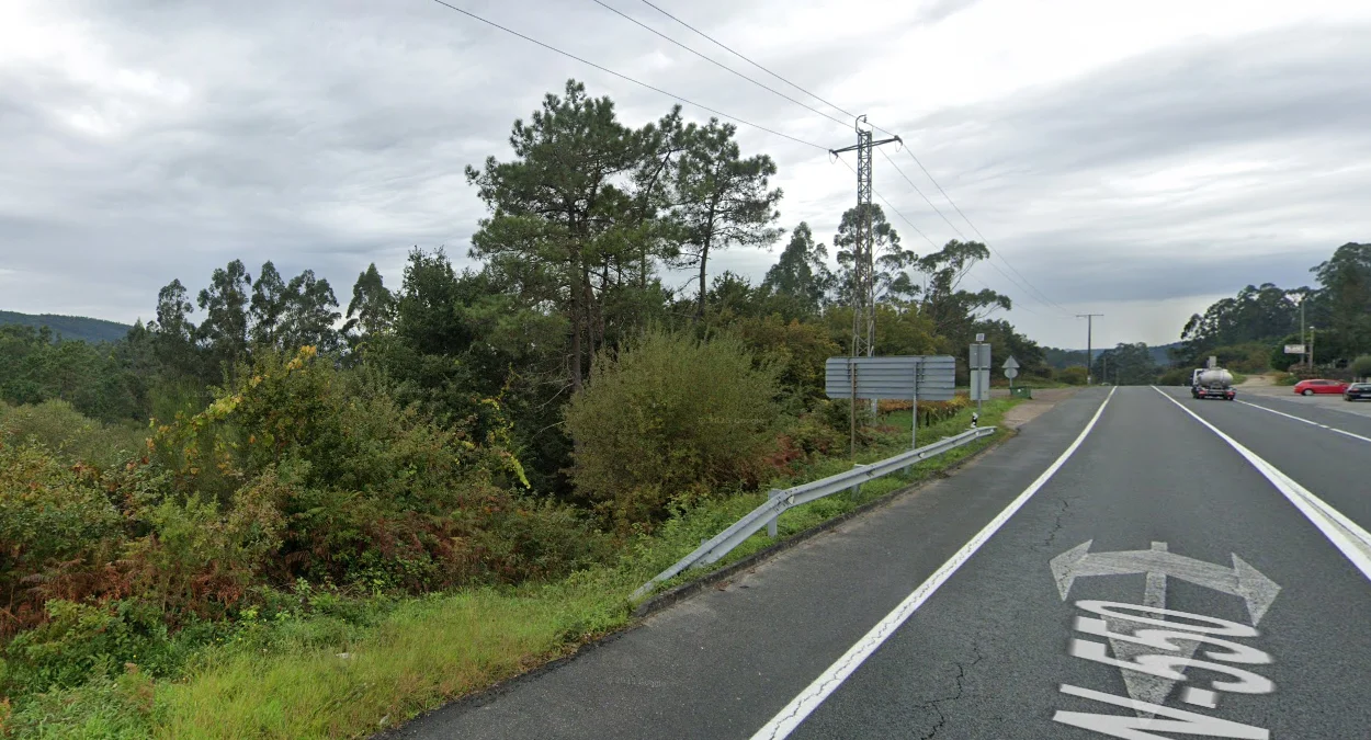 大西洋沿岸的海岸松