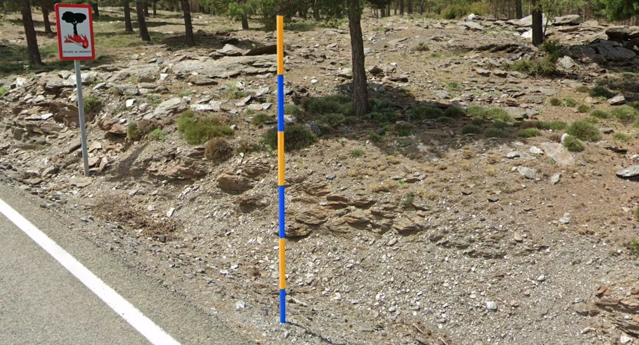 安達盧西亞的藍黃雪桿