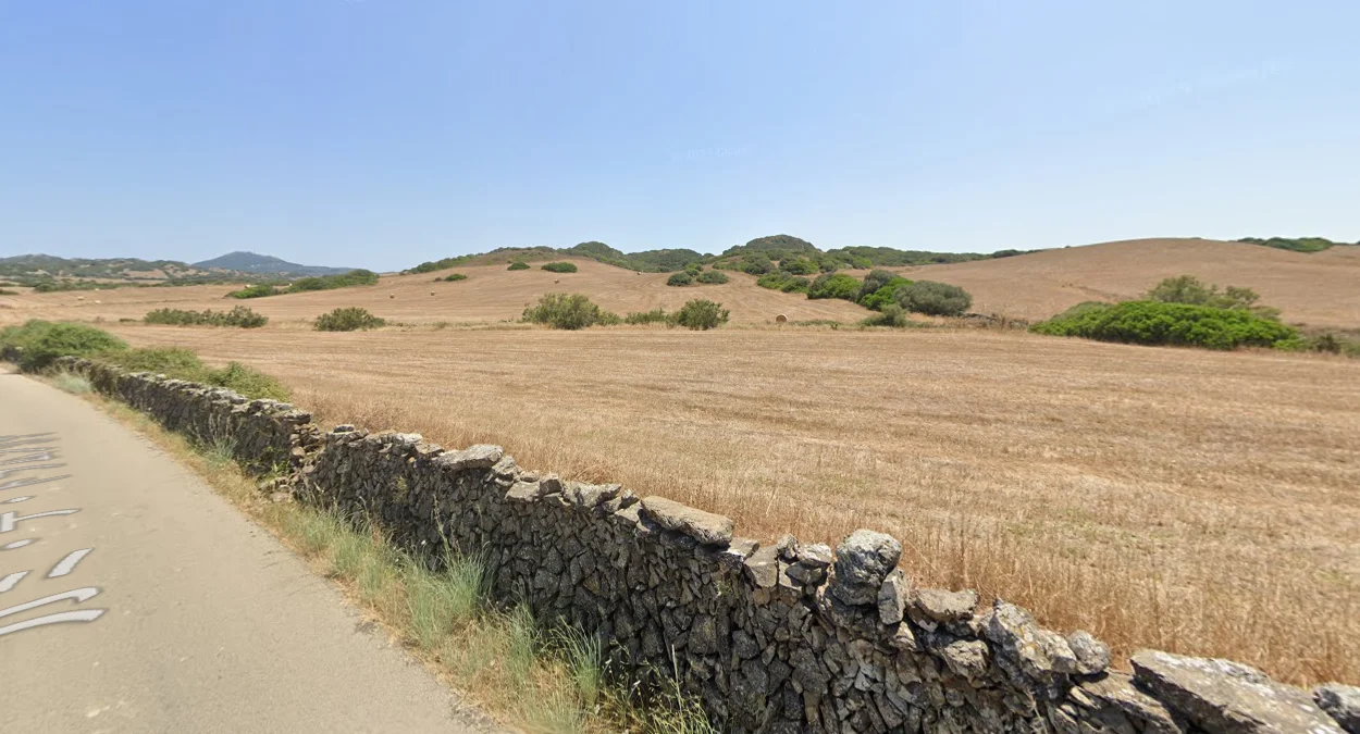 梅諾卡島獨有的牧場