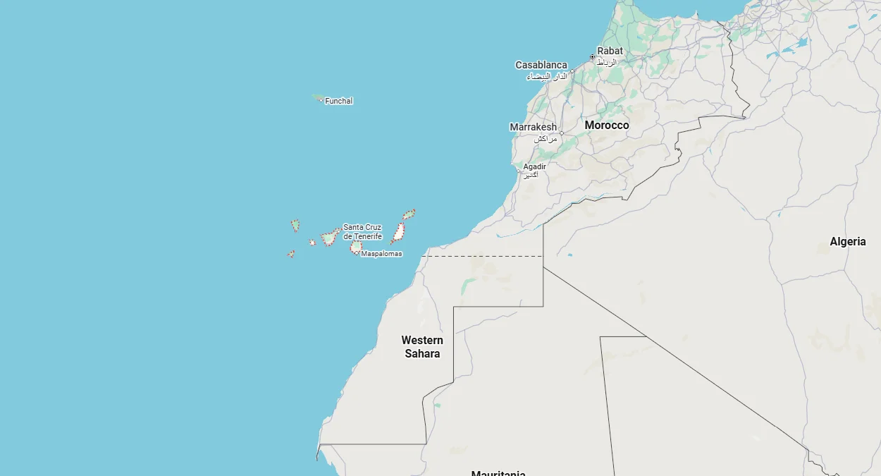 非洲西岸的加那利群島