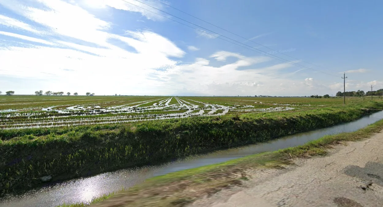 埃布羅河三角洲的平坦地景