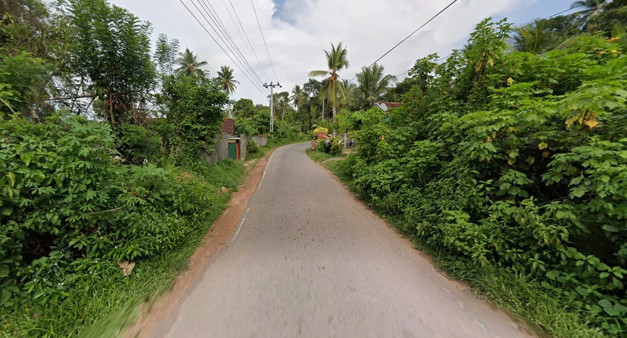 西南部的濕潤氣候