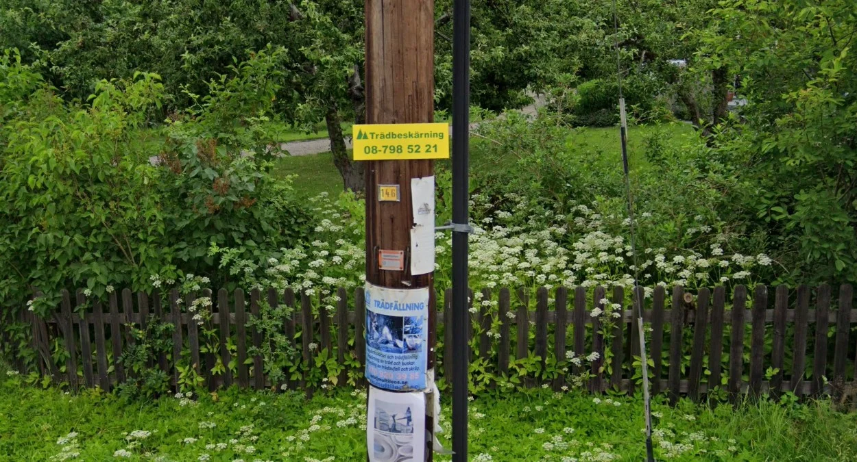 斯德哥爾摩郊區的伐木黃牌