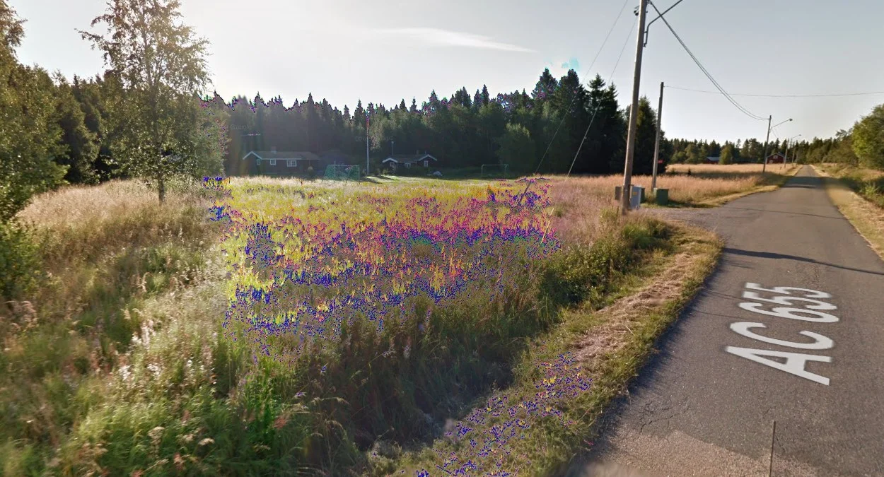 霍爾蒙島獨特的視覺故障