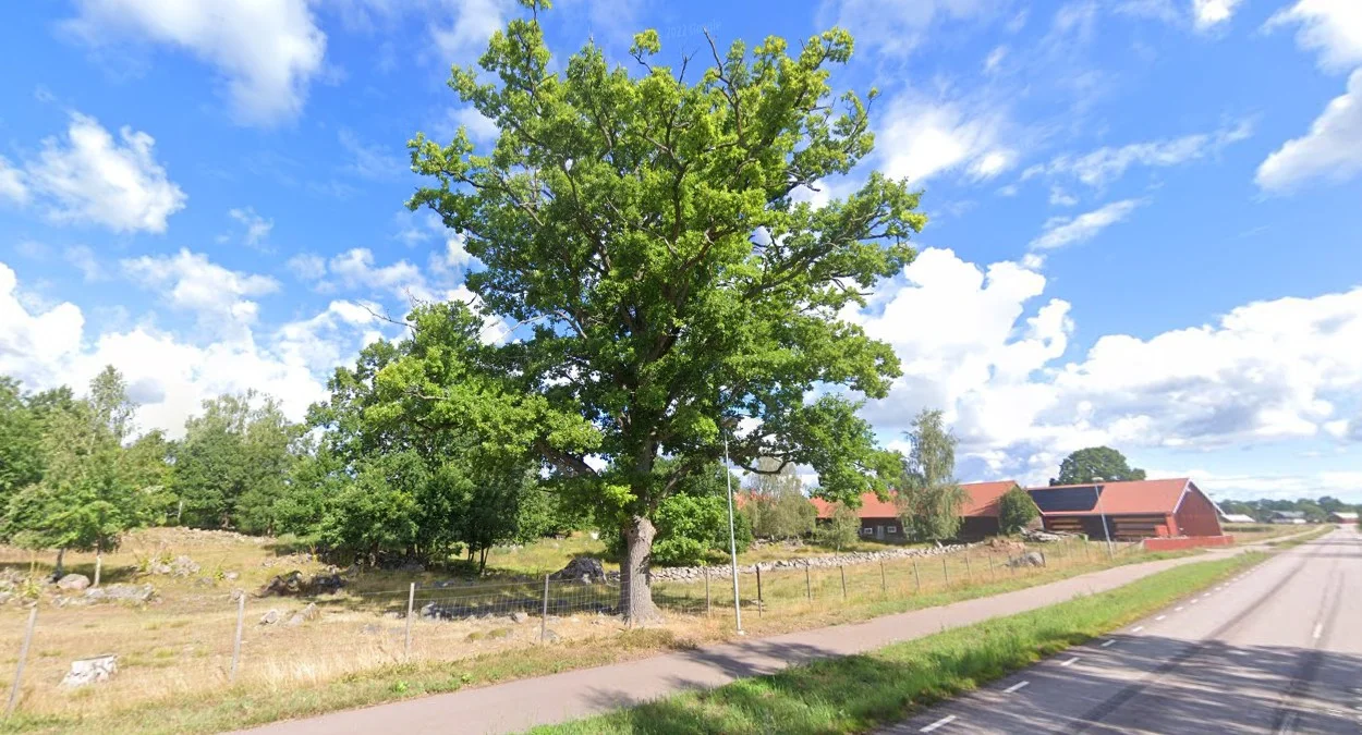 瑞典的植被與地景分布